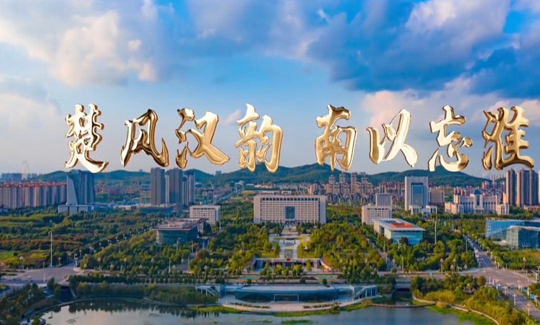 安徽省淮南市