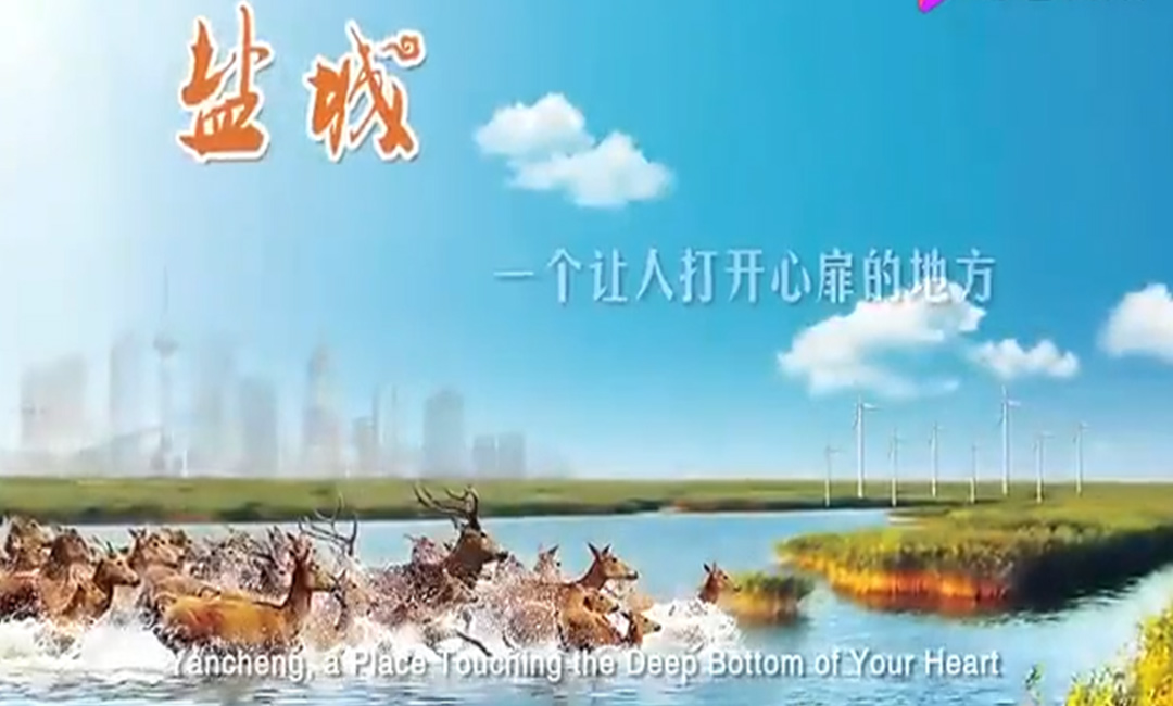 江苏省盐城市