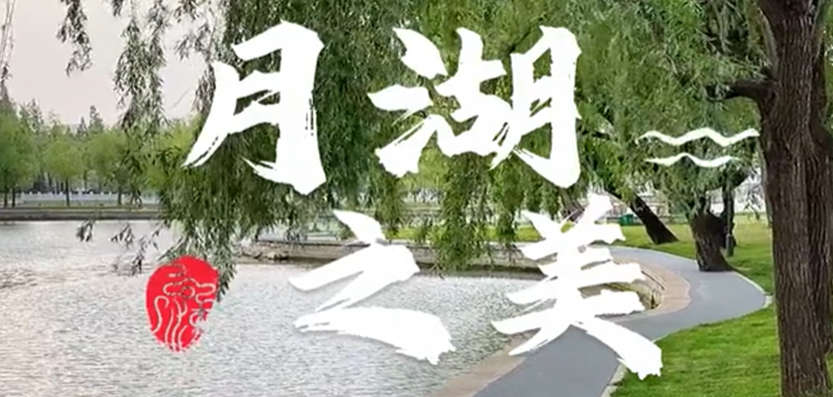 江西省月湖区