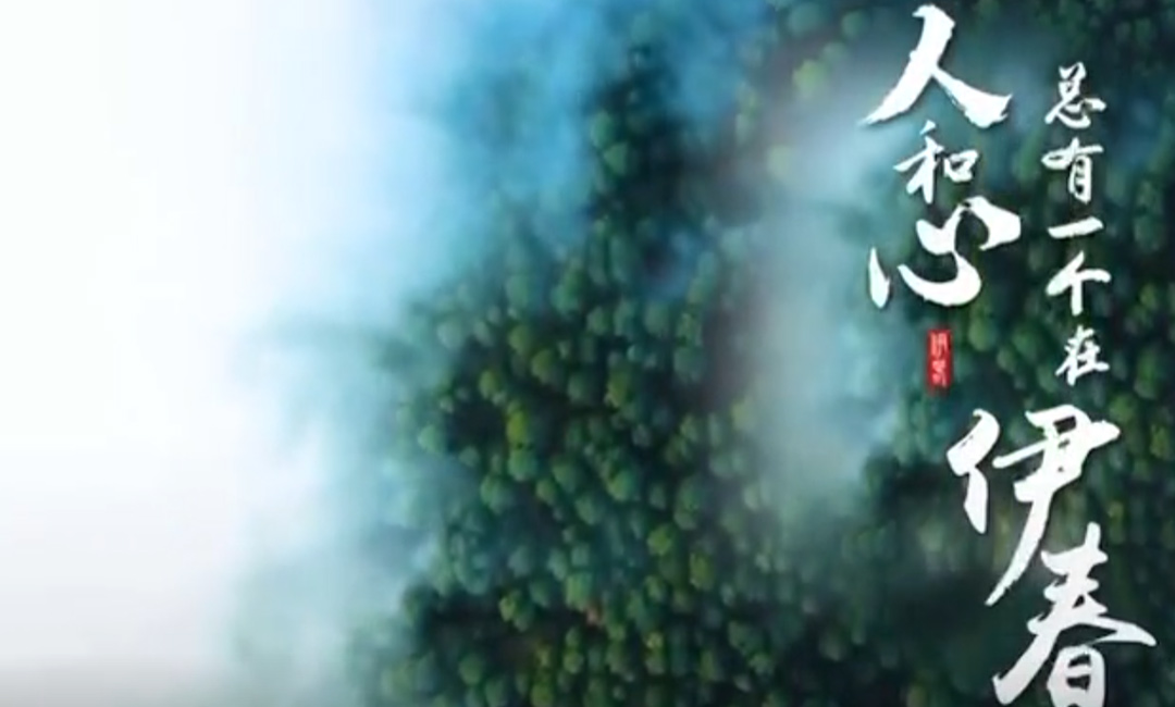 黑龙江省伊春市