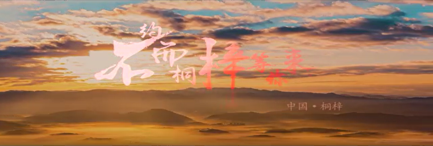 贵州省桐梓县
