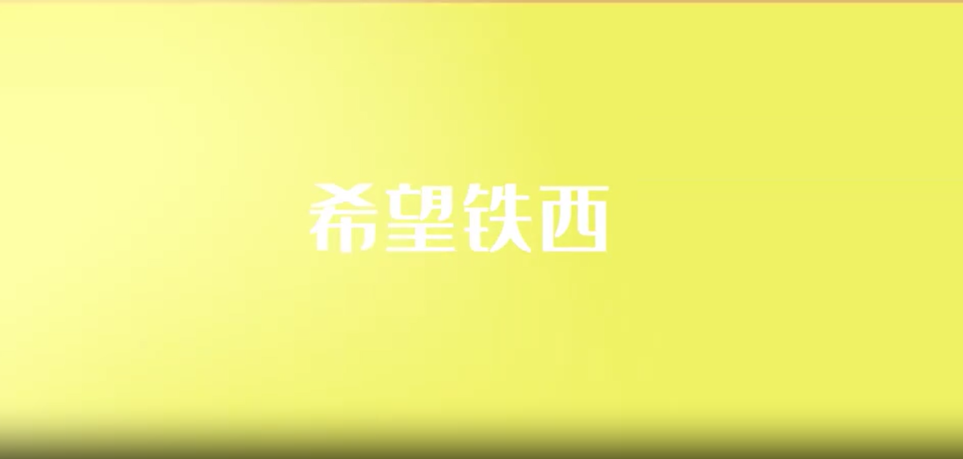 遼寧省鐵西區(qū)