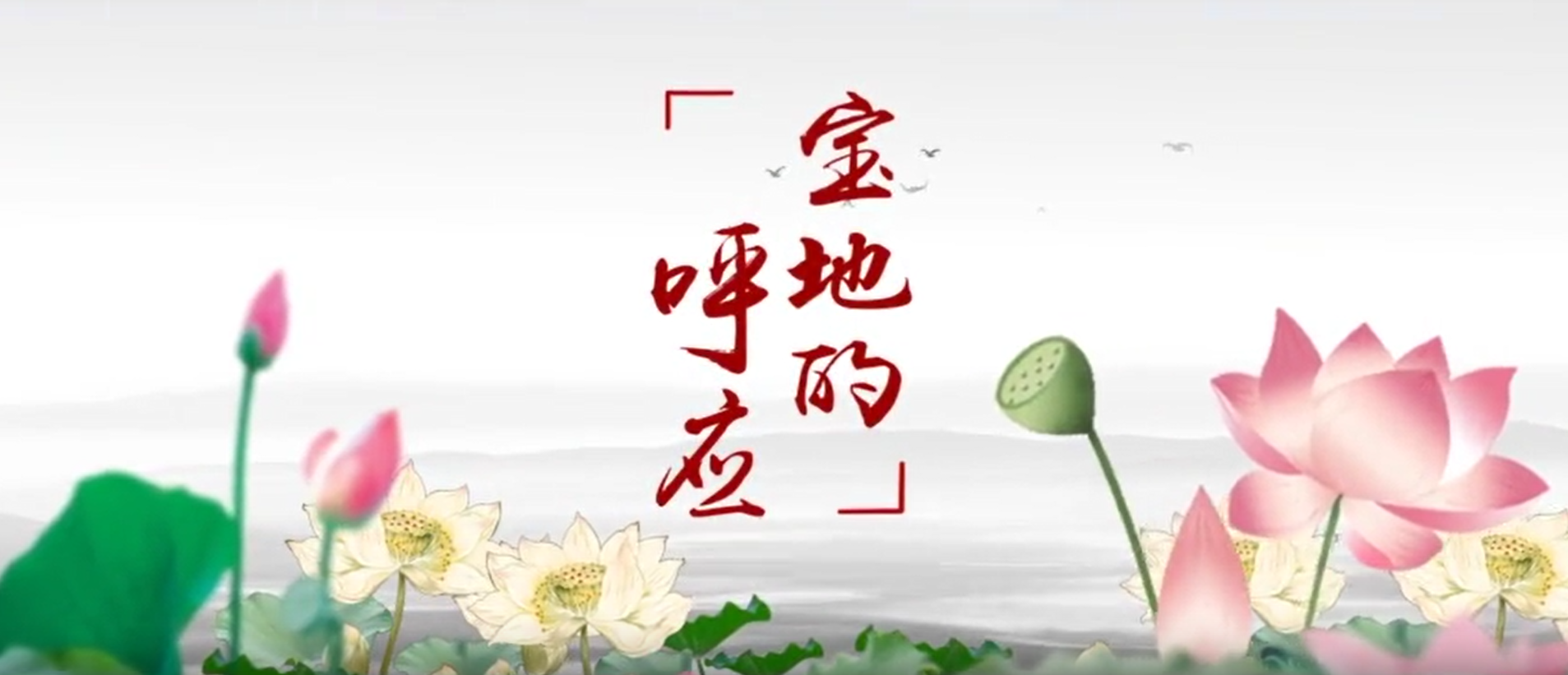 江蘇省寶應(yīng)縣