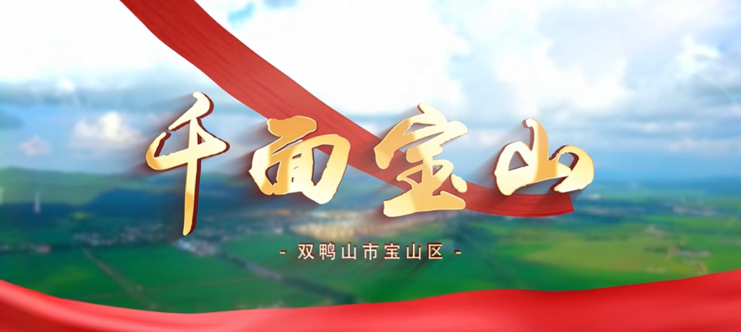 黑龍江省寶山區(qū)
