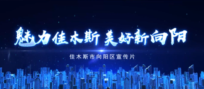 黑龍江省向陽區(qū)