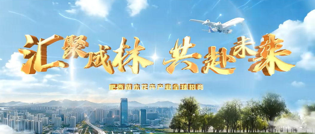 安徽省肥西縣