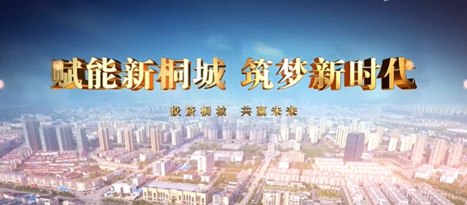 安徽省桐城市
