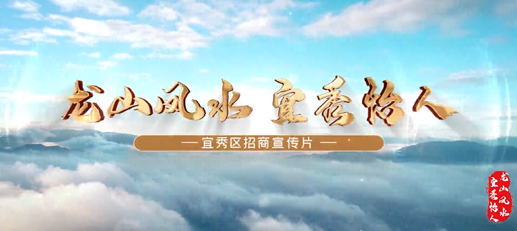 安徽省宜秀區(qū)