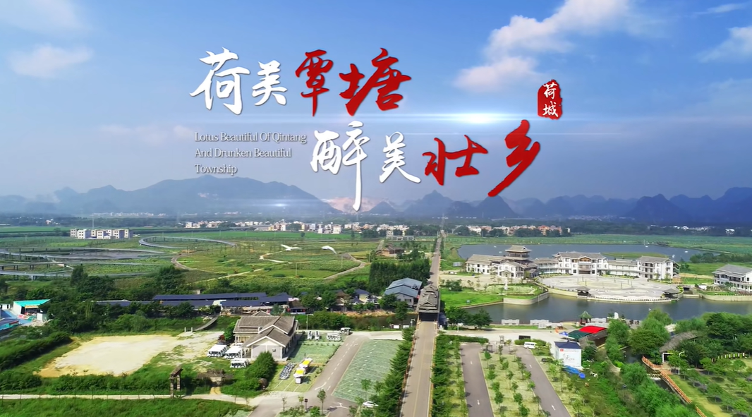廣西壯族自治區(qū)覃塘區(qū)