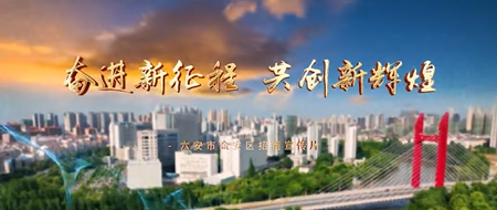 安徽省金安區(qū)