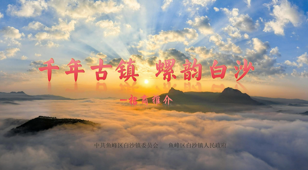 廣西壯族自治區(qū)魚(yú)峰區(qū)