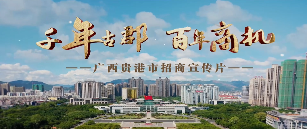 廣西壯族自治區(qū)港北區(qū)