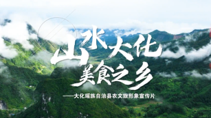 廣西壯族自治區(qū)大化縣