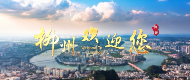 廣西壯族自治區(qū)柳南區(qū)
