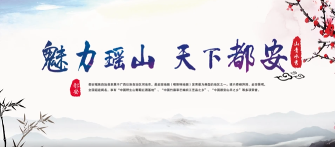 廣西壯族自治區(qū)都安縣