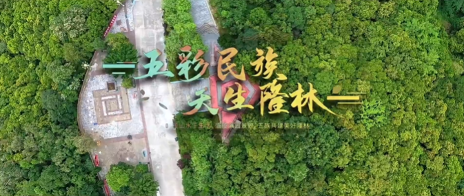 廣西壯族自治區(qū)隆林縣