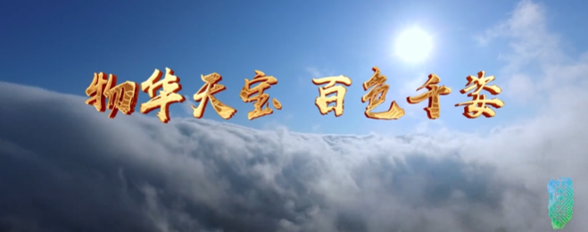 廣西壯族自治區(qū)田陽區(qū)