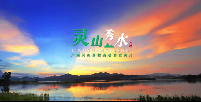 廣西壯族自治區(qū)靈山縣