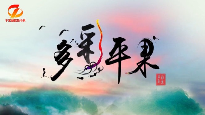 廣西壯族自治區(qū)平果市