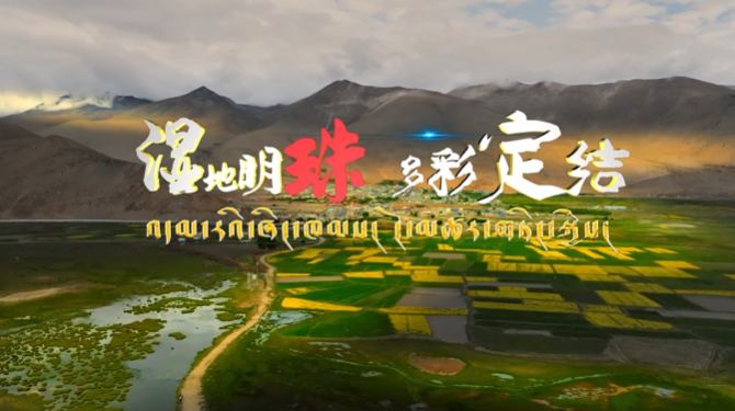 西藏自治區(qū)定結(jié)縣