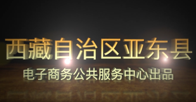 西藏自治區(qū)亞?wèn)|縣