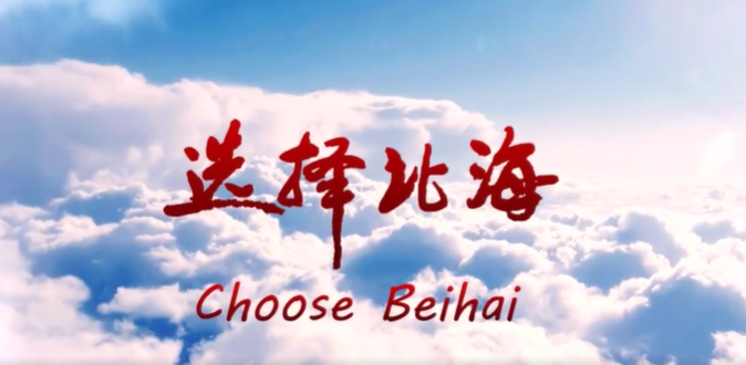广西壮族自治区银海区