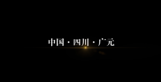 四川省利州區(qū)