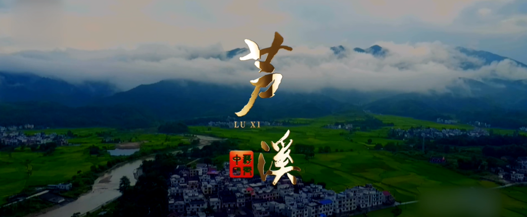 江西省蘆溪縣