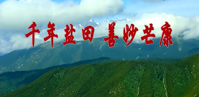 西藏自治區(qū)芒康縣