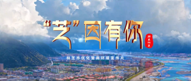 西藏自治區(qū)察隅縣