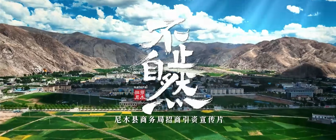 西藏自治區(qū)尼木縣