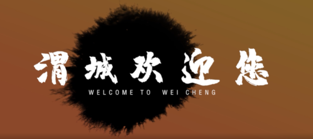 陕西省渭城区