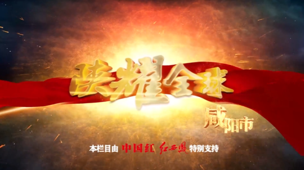 陜西省秦都區(qū)