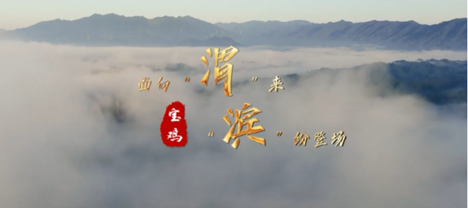 陜西省渭濱區(qū)