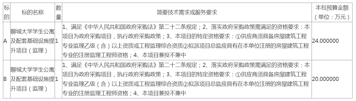聊城大學(xué)學(xué)生公寓及配套基礎(chǔ)設(shè)施提升（監(jiān)理）項目