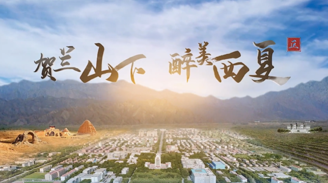 寧夏回族自治區(qū)西夏區(qū)