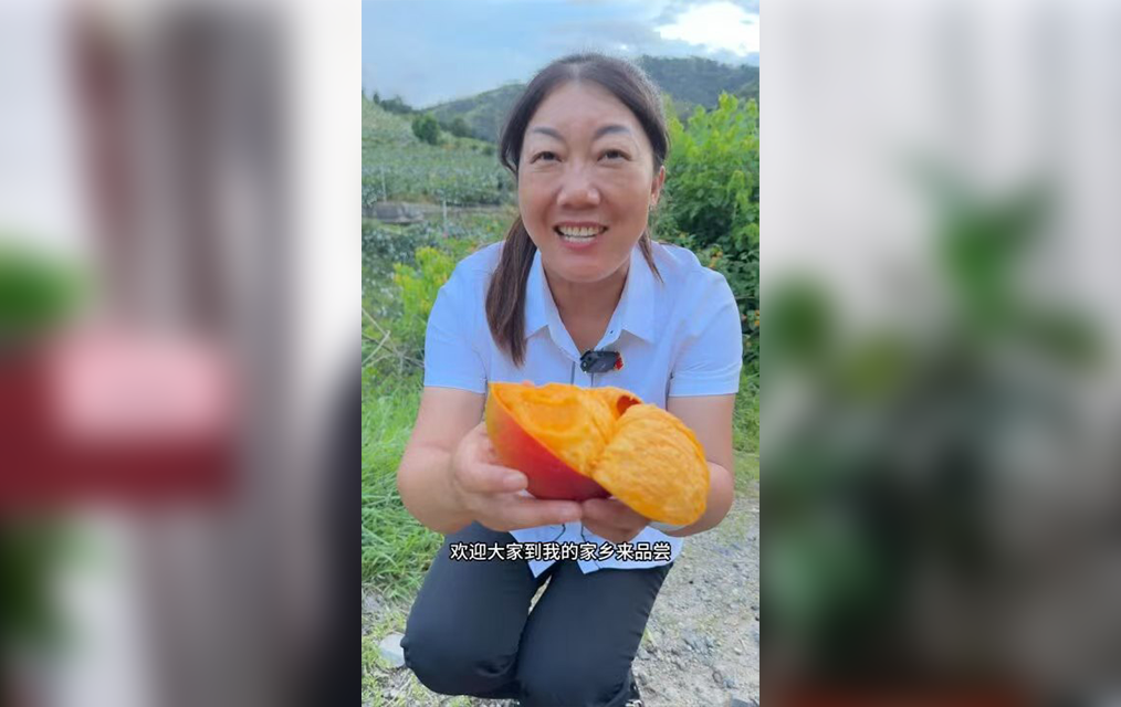 仁和区