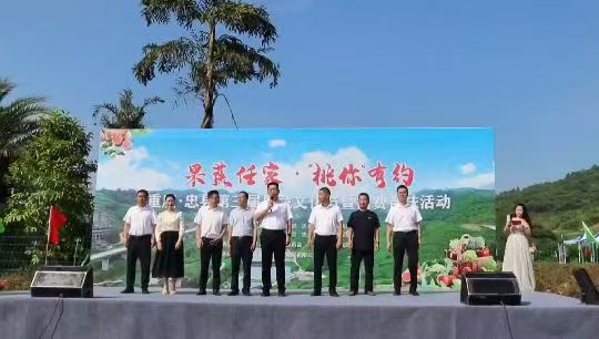 任家镇