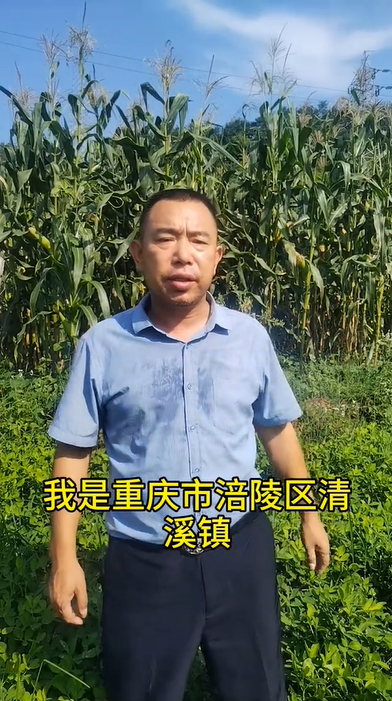 四合村