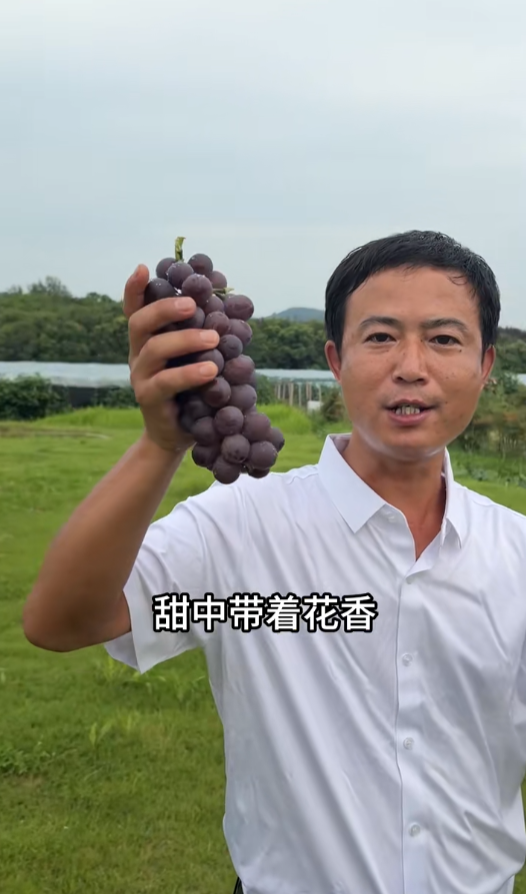 铭传乡