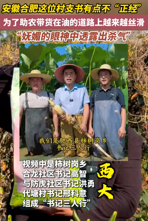 柿树岗乡