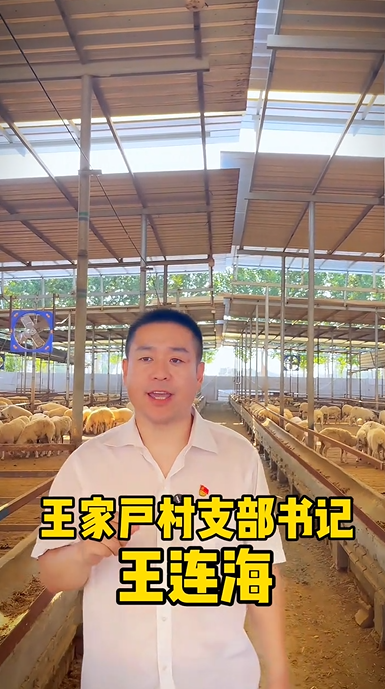 李家户镇王家户村