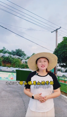 眉山村
