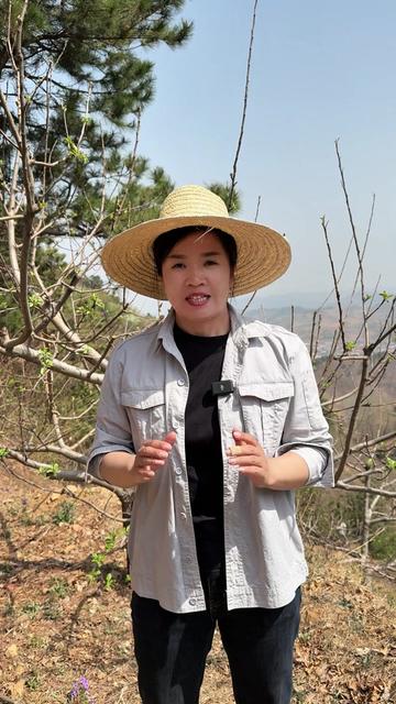 邱杖子村