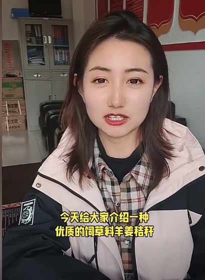 张淌村