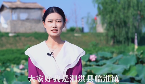 临淮镇胜利社区