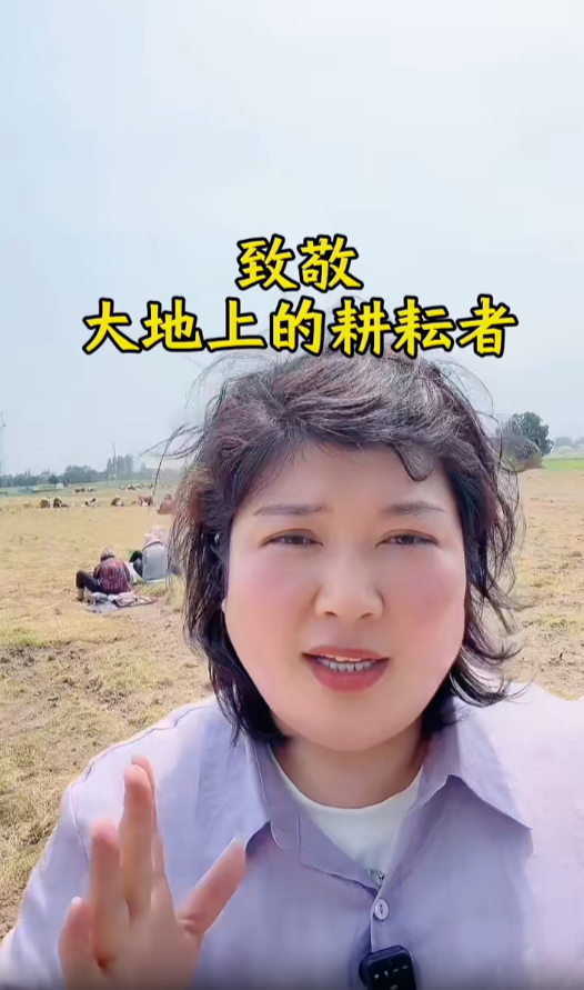 宋寨村