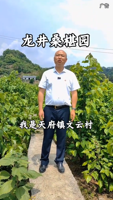 天府镇村
