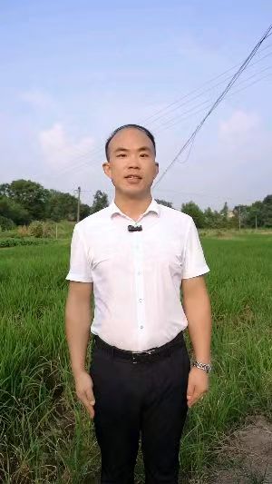 沙坪镇金明村
