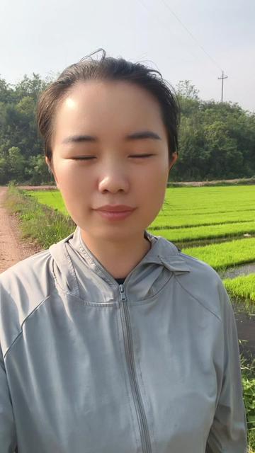 柑橘村
